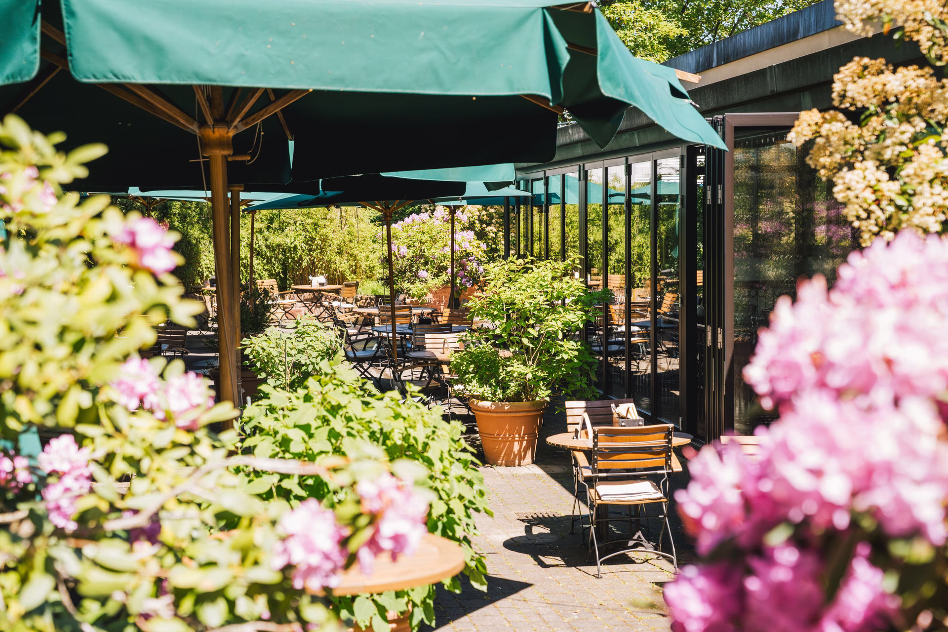 Mittagstisch in Tübingen im Japengo Steakhouse